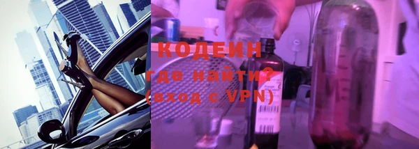 индика Арсеньев