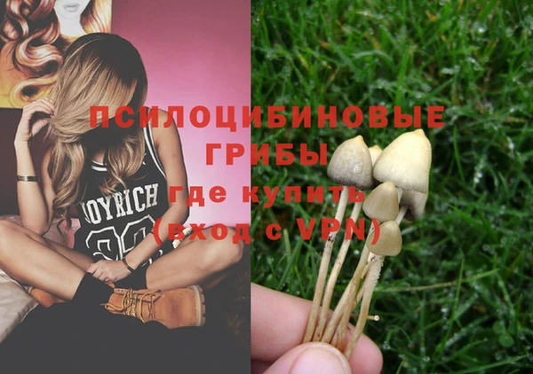 индика Арсеньев