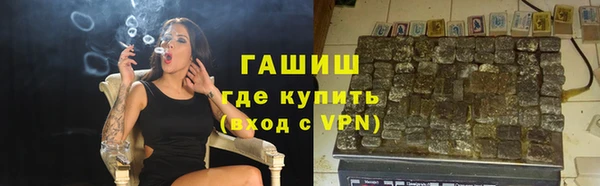 индика Арсеньев