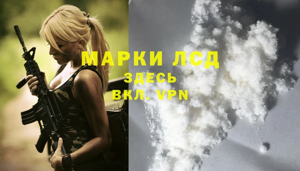 индика Арсеньев