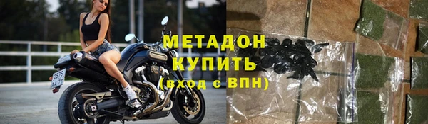индика Арсеньев