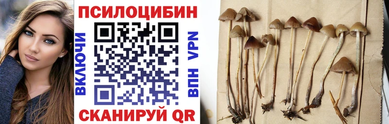 Псилоцибиновые грибы MAGIC MUSHROOMS Купить где Ершов